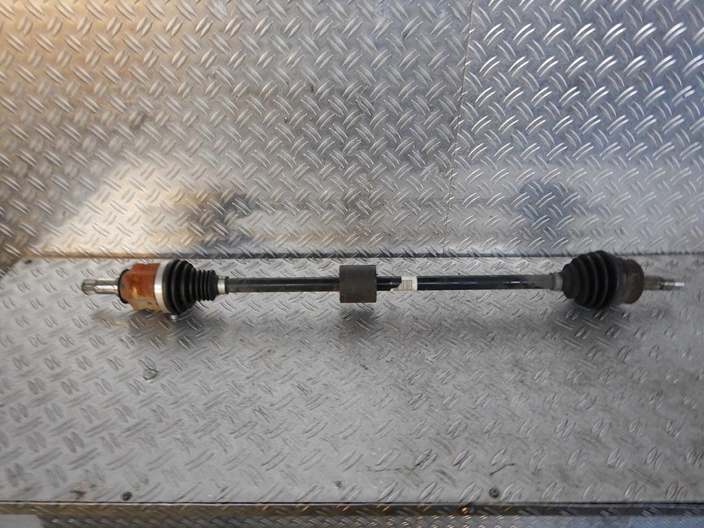 DSCN0341.JPG