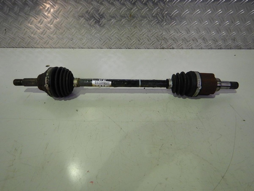 DSCN4393.JPG