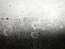 DSCN2449.JPG