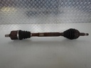 DSCN6803.JPG