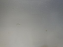 DSCN9839.JPG