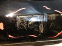 DSCN1509.JPG