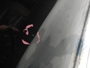DSCN1655.JPG