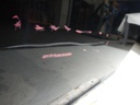 DSCN2392.JPG