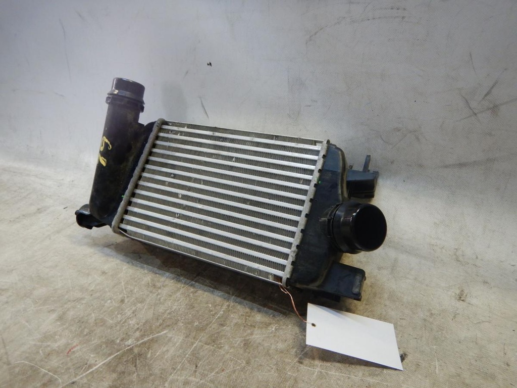 DSCN3515.JPG