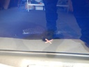 DSCN5812.JPG