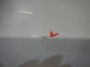 DSCN9706.JPG