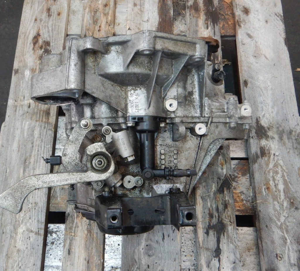 Polo 010.JPG