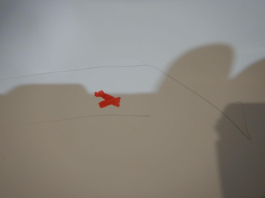 DSCN3518.JPG