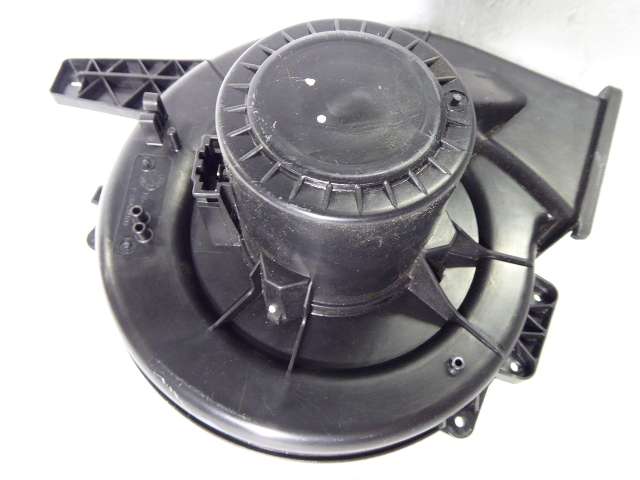 P1130646.JPG