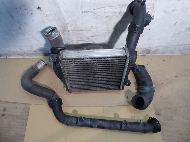 P1050790.JPG