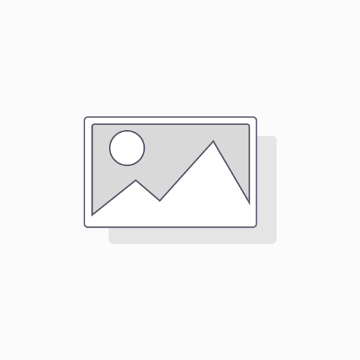 LENKGETRIEBE